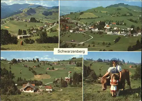 Schwarzenberg Brienz Tracht Kuh Kurort Kat. Schwarzenberg