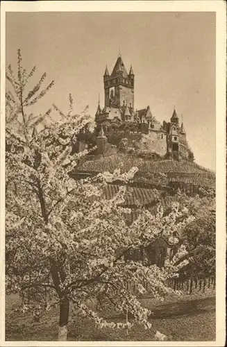 Kochem Burg Baumbluete Kat. Cochem