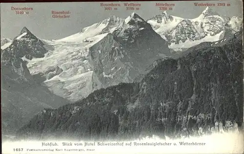 Hohfluh Bruenig BE Blick vom Hotel Schweizerhof auf Rosenlauigletscher und Wetterhoerner Berner Alpen Kat. Bruenig