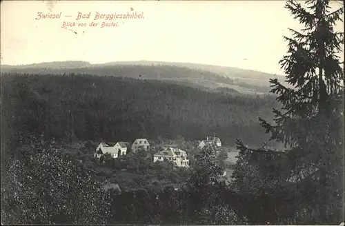 Zwiesel Bad Gottleuba Berggiesshuebel Blick von der Bastei Kat. Bad Gottleuba Berggiesshuebel