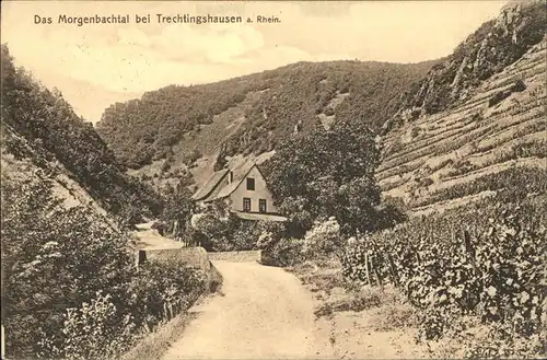 Trechtingshausen Partie im Morgenbachtal Kat. Trechtingshausen