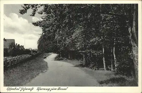 Hohwacht Ostsee Uferweg zum Strand Kat. Hohwacht (Ostsee)