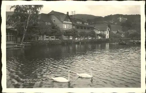 Ilsenburg Harz Hotel Rote Forellen Teich Schwaene / Ilsenburg Harz /Harz LKR