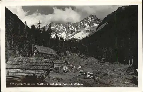 Mallnitz Kaernten Schwussner Alm mit Saeuleck Kat. Mallnitz