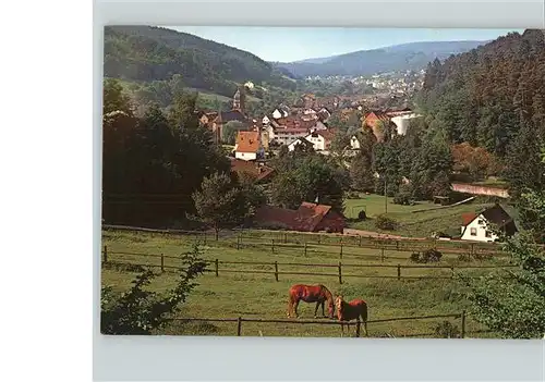 Heimbuchenthal Panorama Erholungsort im Naturpark Spessart Kat. Heimbuchenthal