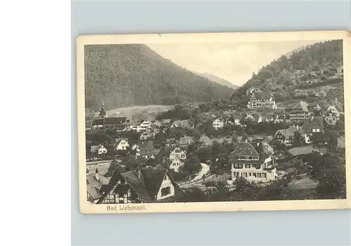 Bad Liebenzell Panorama Kat. Bad Liebenzell