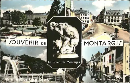 Montargis Loiret Le Chien de Montargis Hotel de Ville Stade Nautique Rue sur l eau  Kat. Montargis