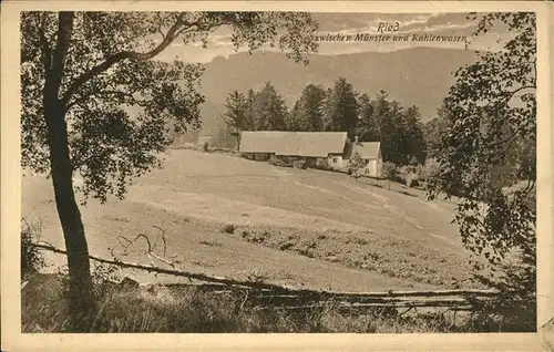 Ried Elsass Bauernhof zwischen Muenster und Kahlenwasen Kat. Munster