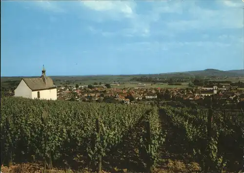 Marlenheim Chapelle et le vignoble Kat. Marlenheim