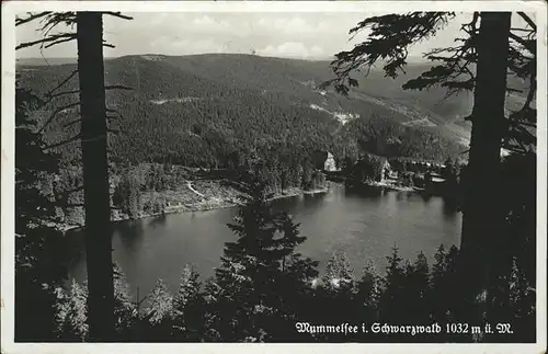 Mummelsee Partie am Mummelsee Kat. Seebach