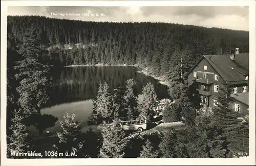 Mummelsee Berghotel Kat. Seebach