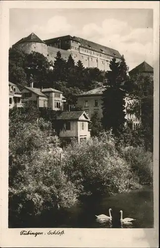 Tuebingen Schloss / Tuebingen /Tuebingen LKR