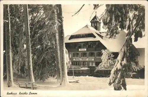 Kniebis Freudenstadt Kurhaus Kniebis Lamm / Freudenstadt /Freudenstadt LKR