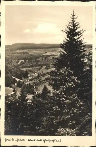 Freudenstadt Schwarzwald Blick ins Christophstal Kat. Freudenstadt