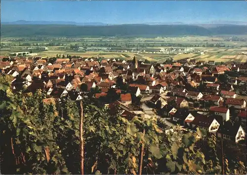 Hirschau Tuebingen Panorama Kat. Tuebingen
