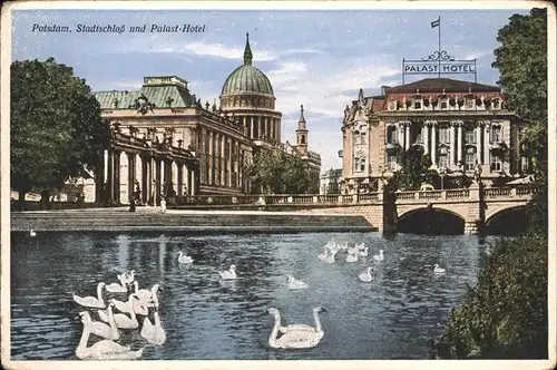 Potsdam Stadtschloss Palast Hotel, Schwaene, Teich / Potsdam /Potsdam Stadtkreis