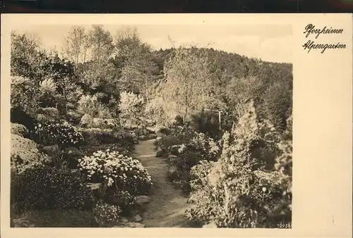 Pforzheim Alpengarten Kat. Pforzheim