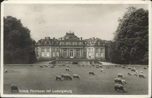 Ludwigsburg SchloÃŸ Monrepos Schafe Kat. Ludwigsburg