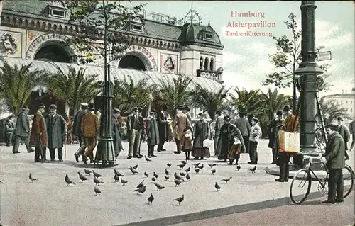 Hamburg Alsterpavillon Tauben Kat. Hamburg