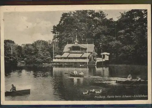 Freiberg Freiberg Schwan Schloesschen Boot Schwan * / Freiberg /Mittelsachsen LKR