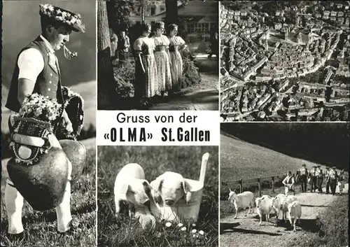 St Gallen SG Olma Ziegen Schweine Glocken / St Gallen /Bz. St. Gallen City