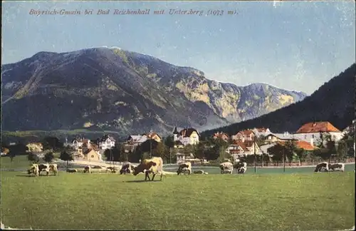 Bad Reichenhall Bayrisch Gmain Untersberg Kuehe / Bad Reichenhall /Berchtesgadener Land LKR