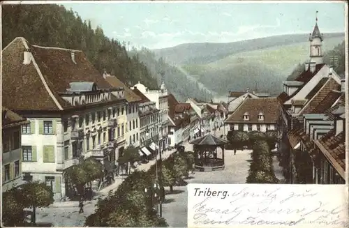 Triberg  / Triberg im Schwarzwald /Schwarzwald-Baar-Kreis LKR