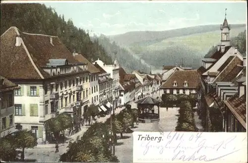 Triberg  / Triberg im Schwarzwald /Schwarzwald-Baar-Kreis LKR