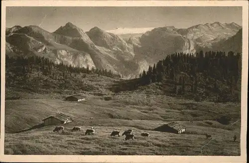 Berchtesgaden Gotzenalm / Berchtesgaden /Berchtesgadener Land LKR