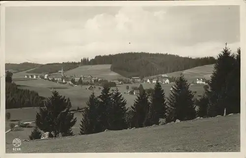 Schoenwald Schwarzwald  / Schoenwald im Schwarzwald /Schwarzwald-Baar-Kreis LKR