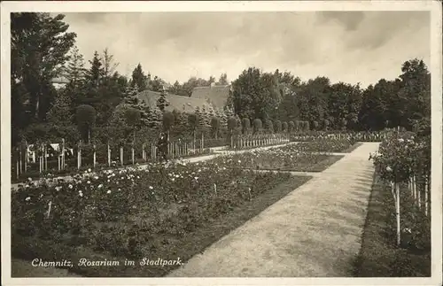 Chemnitz Rosarium Stadtpark / Chemnitz /Chemnitz Stadtkreis