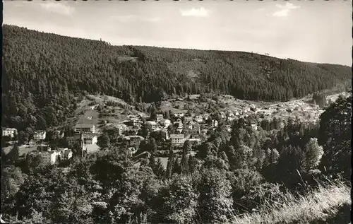 Wildbad Schwarzwald Panorama / Bad Wildbad /Calw LKR