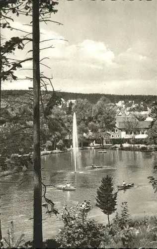 Braunlage Gondelteich / Braunlage Harz /Goslar LKR