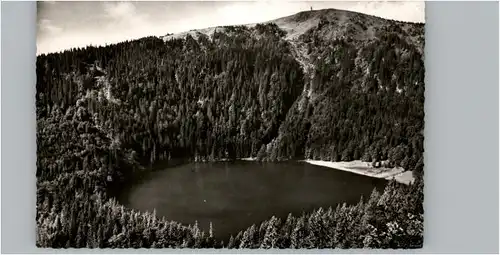 Feldberg Schwarzwald Feldberg Schwarzwald Feldsee Seebuck x / Feldberg (Schwarzwald) /Breisgau-Hochschwarzwald LKR