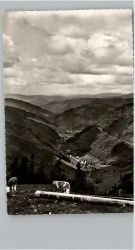 Feldberg Schwarzwald Feldberg Schwarzwald Wiesentalblick x / Feldberg (Schwarzwald) /Breisgau-Hochschwarzwald LKR