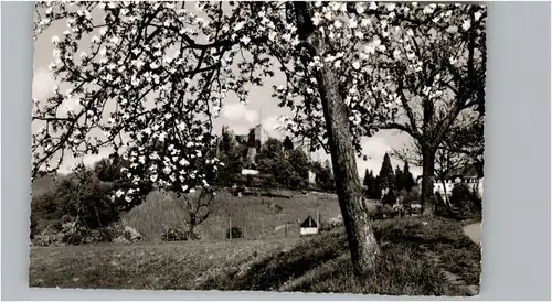 Badenweiler Badenweiler  * / Badenweiler /Breisgau-Hochschwarzwald LKR