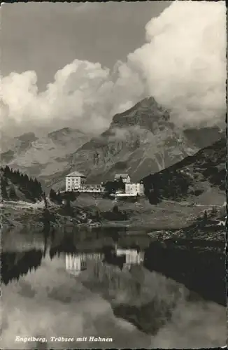 Engelberg OW Engelberg Truebsee Hahnen * / Engelberg /Bz. Obwalden