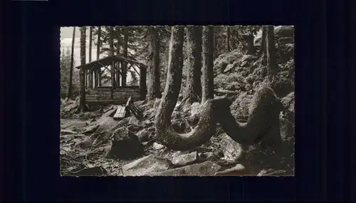 Braunlage Braunlage Harz Kamelfichte Achtermann * / Braunlage Harz /Goslar LKR