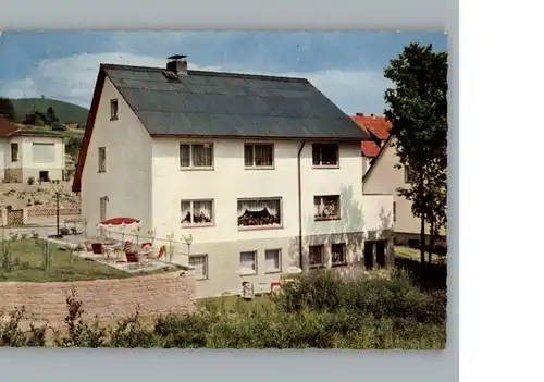 Braunlage Pension Haus Graupner / Braunlage Harz /Goslar LKR