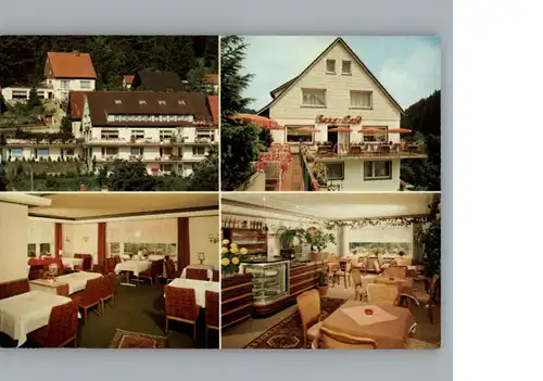 Altenau Harz Hotel - Pension Bergquell / Altenau /Goslar LKR