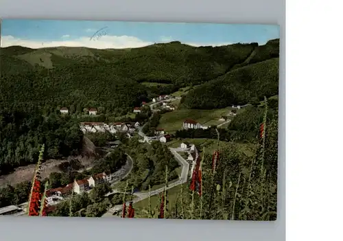 Bad Lauterberg Dietrichtal / Bad Lauterberg im Harz /Osterode Harz LKR