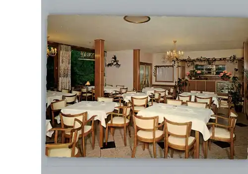 Bad Schwalbach Hotel, Restaurant Cafe Adler / Bad Schwalbach /Rheingau-Taunus-Kreis LKR