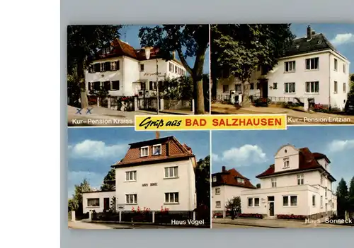 Bad Salzhausen Pension Kraiss / Nidda /Wetteraukreis LKR