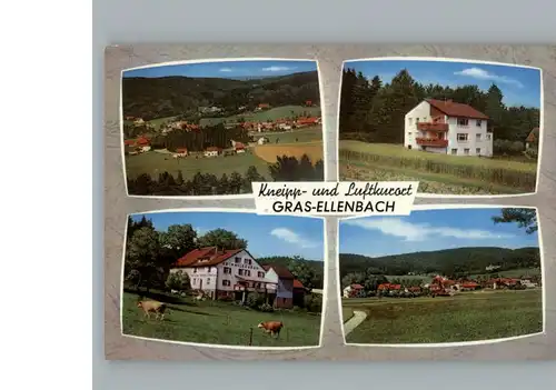 Grasellenbach Pension Krimhildenruh / Grasellenbach /Bergstrasse LKR
