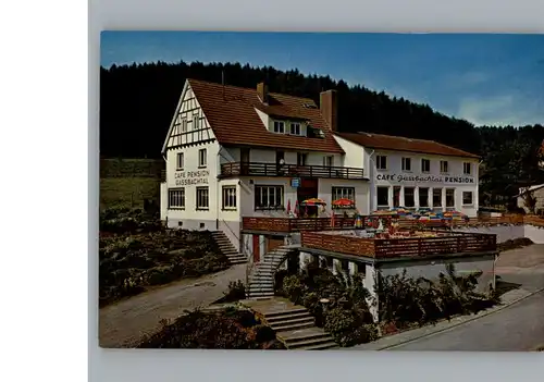 Grasellenbach Cafe - Pension Gassbachtal / Grasellenbach /Bergstrasse LKR