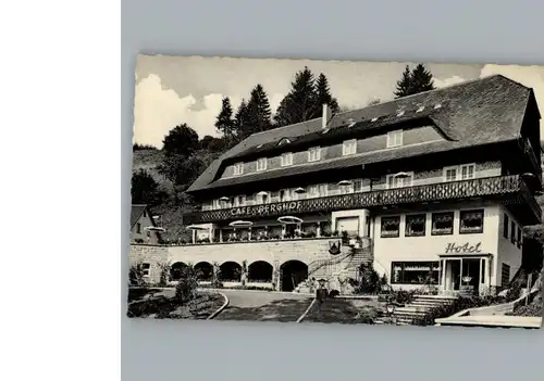 Schoenmuenzach Hotel, Cafe Berghof / Baiersbronn /Freudenstadt LKR