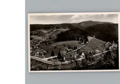 Schoenmuenzach Fliegeraufnahme / Baiersbronn /Freudenstadt LKR