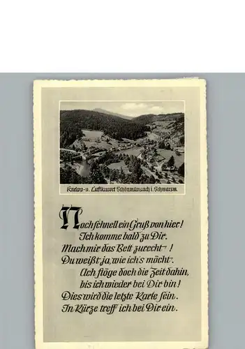 Schoenmuenzach  / Baiersbronn /Freudenstadt LKR