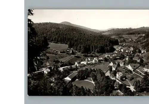 Schoenmuenzach  / Baiersbronn /Freudenstadt LKR