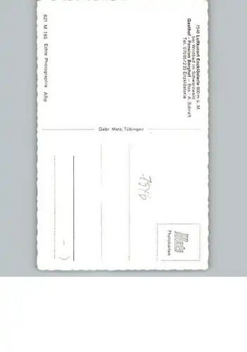 Enzkloesterle Gasthof, Pension Berghof / Enzkloesterle /Calw LKR